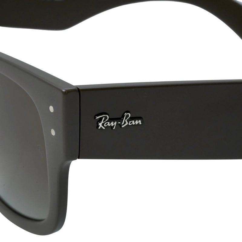 Ray-Ban Brown Frame Sunglasses - Brown - 34032 