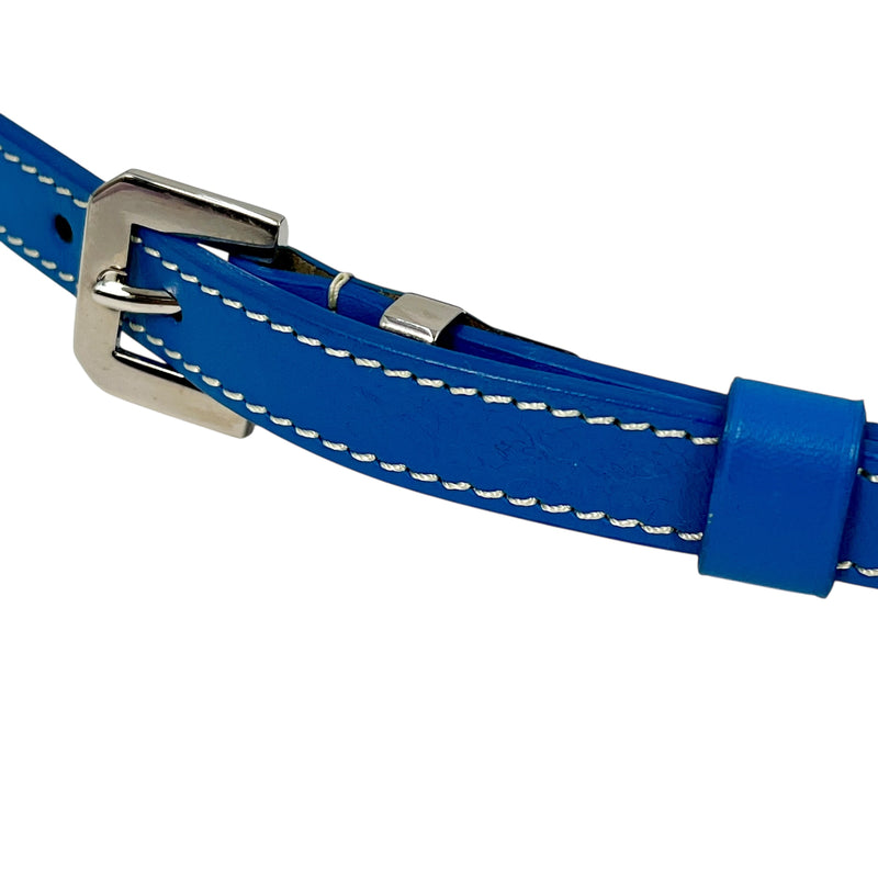 HOLD GOYARD Gap Vert PM Shoulder Bag - Blue 