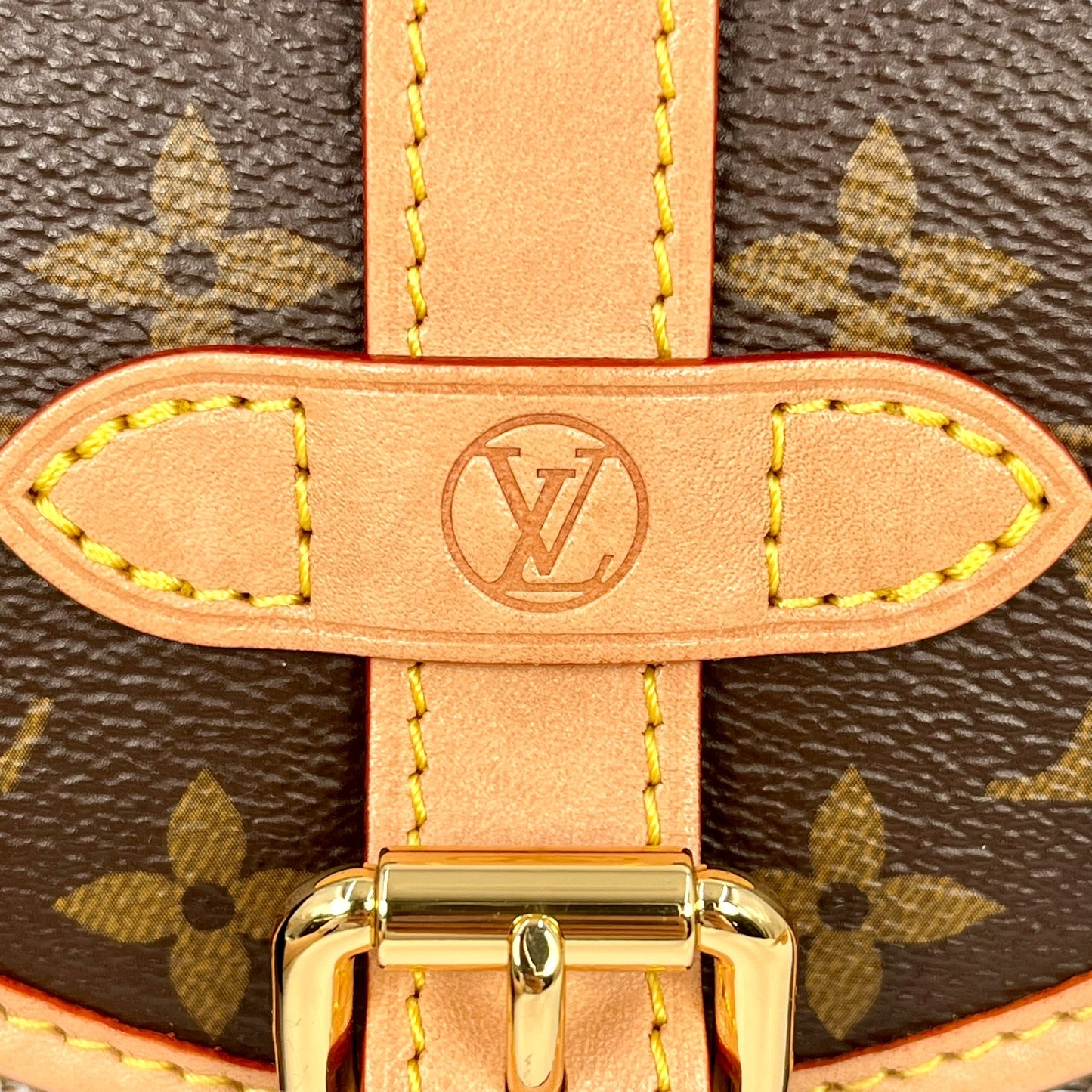 Louis Vuitton Monogram Canvas Saumur BB Handbag - Brown 