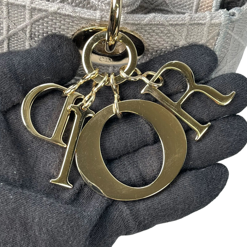 Christian Dior Lady Dior D Lite Hand Bag Shoulder Bag - Gray 