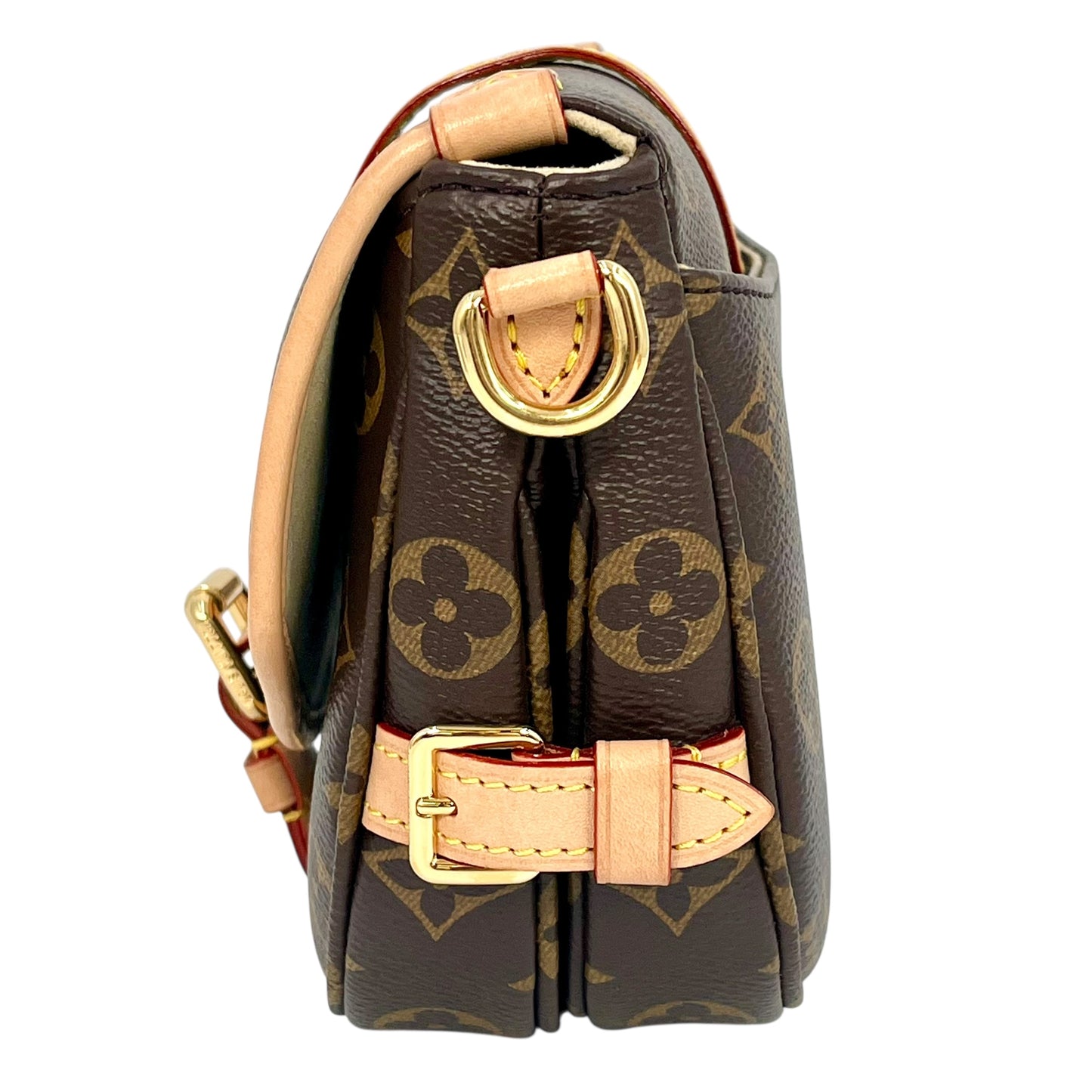 Louis Vuitton Monogram Canvas Saumur BB Handbag - Brown 