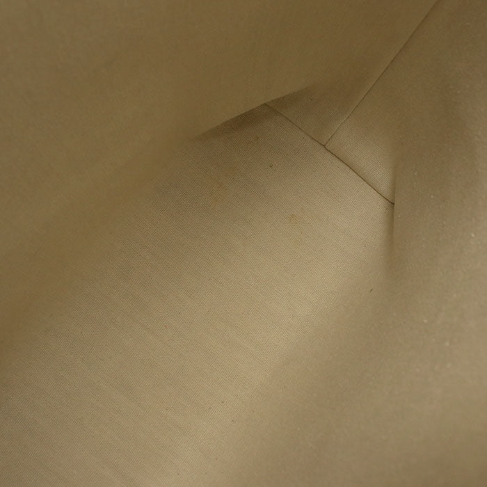 CELINE ミュージアムバッグ トリオンフキャンバス トートバッグ - ベージュ