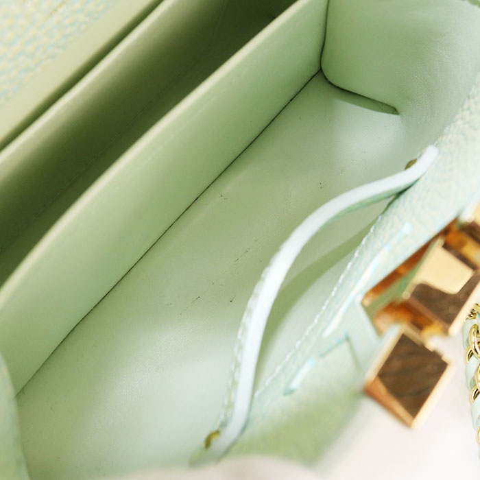 LOUIS VUITTON Capucines Mini Summer Stardust Taurillon Leather Handbag/Shoulder Bag - Green